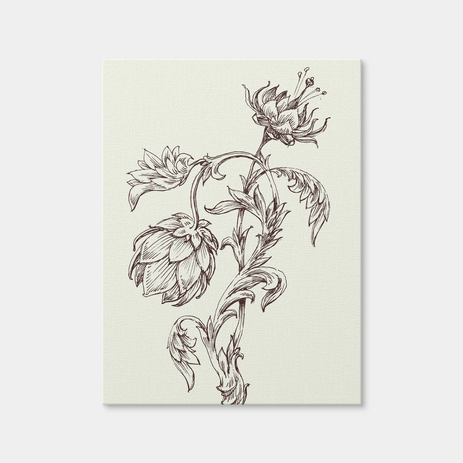 AUTO-MOCKUP WHITE | Flowers Sketch | 1 Piece | Gallery Wrap Canvas | group=3x4
