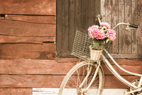 Flowers in a Bicycle Basket Wall Art