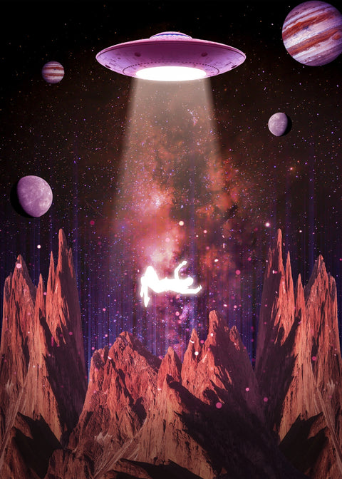 Flying Wall Art