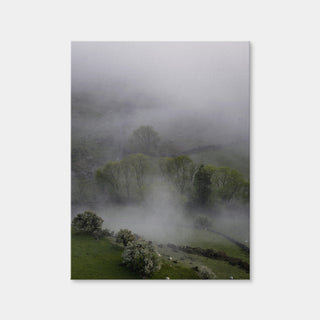 AUTO-MOCKUP WHITE | Foggy Trees | 1 Piece | Gallery Wrap Canvas | group=3x4