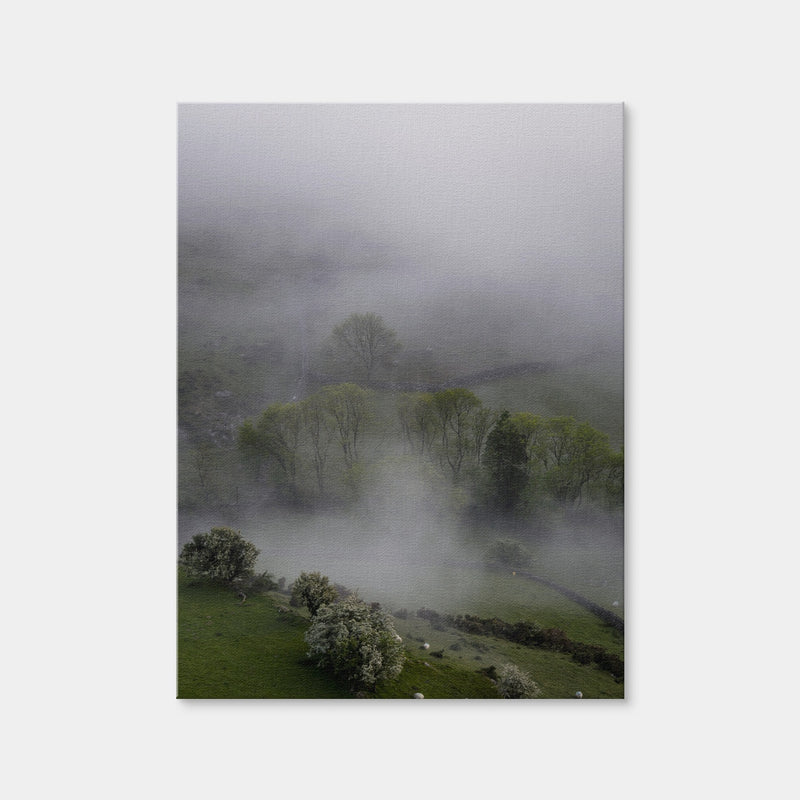 AUTO-MOCKUP WHITE | Foggy Trees | 1 Piece | Gallery Wrap Canvas | group=3x4