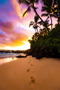 Footprints in the Sand Wall Art
