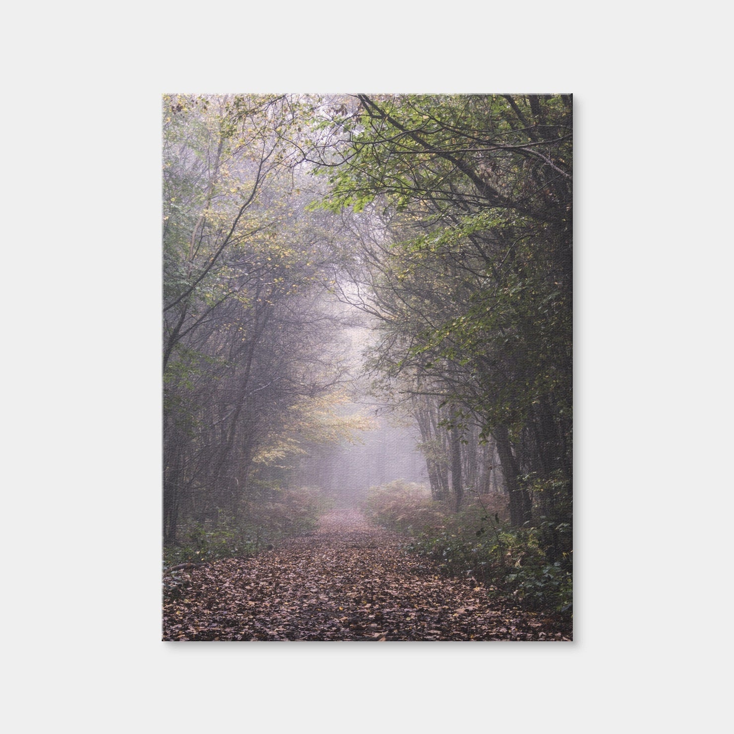 AUTO-MOCKUP WHITE | Forest Path | 1 Piece | Gallery Wrap Canvas | group=3x4