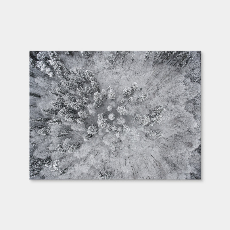 AUTO-MOCKUP WHITE | Forest Snow | 1 Piece | Gallery Wrap Canvas | group=4x3