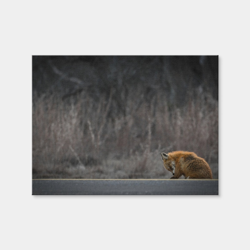AUTO-MOCKUP WHITE | Fox Road | 1 Piece | Gallery Wrap Canvas | group=4x3