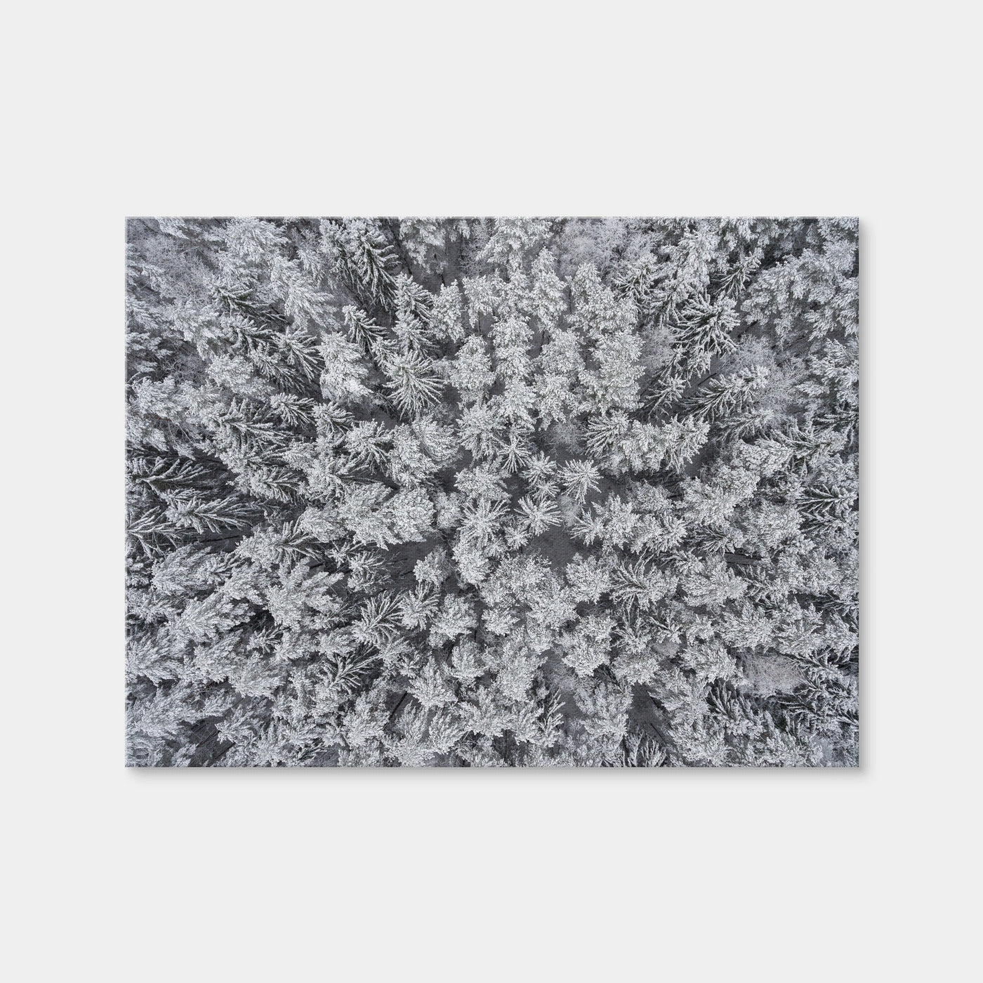 AUTO-MOCKUP WHITE | Frosted Tips | 1 Piece | Gallery Wrap Canvas | group=4x3