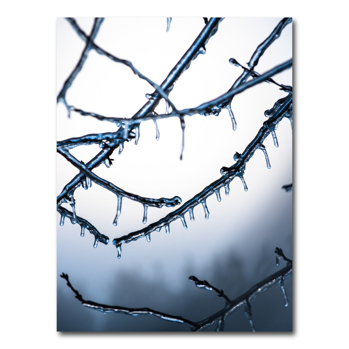 AUTO-MOCKUP WHITE | Frozen Virginia | 1 Piece | Gallery Wrap Canvas | group=3x4