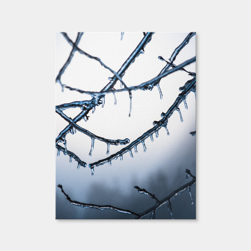 AUTO-MOCKUP WHITE | Frozen Virginia | 1 Piece | Gallery Wrap Canvas | group=3x4