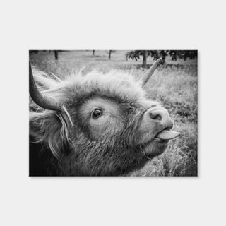 AUTO-MOCKUP WHITE | Funny Cow | 1 Piece | Gallery Wrap | group=4x3