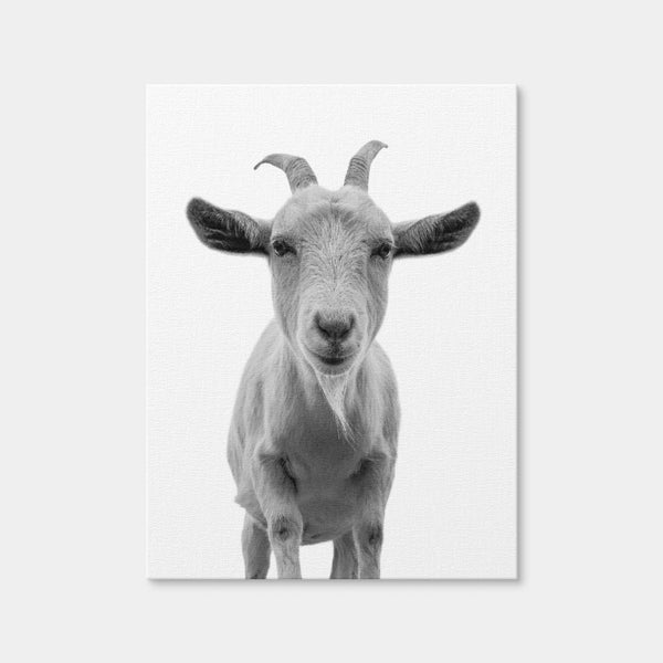 Funny Goat Wall Art — Canvas Wrap Format preview