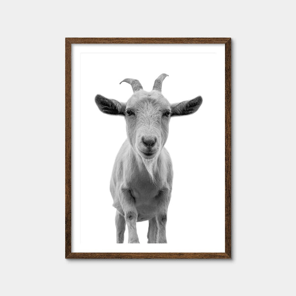 Funny Goat Wall Art — Framed Print Format preview