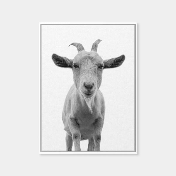 Funny Goat Wall Art — Framed Canvas Format preview