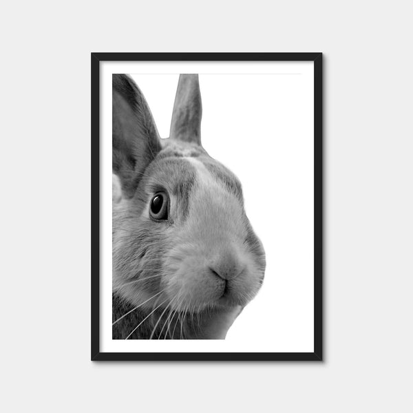 Funny Rabbit Wall Art — Framed Print Format preview