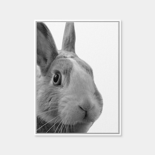 Funny Rabbit Wall Art — Framed Canvas Format preview