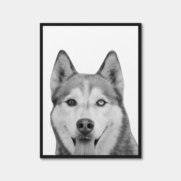 Funny Siberian Husky Wall Art — Framed Canvas Format preview