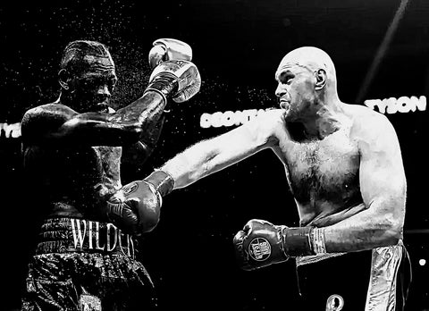 Fury Vs. Wilder Grayscale Wall Art