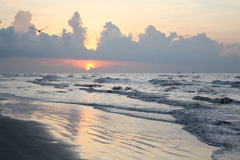 Galveston Island Wall Art