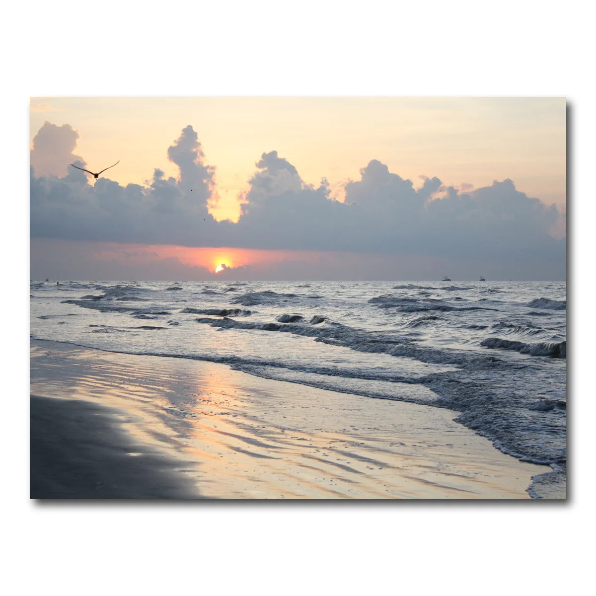 Galveston Island Wall Art