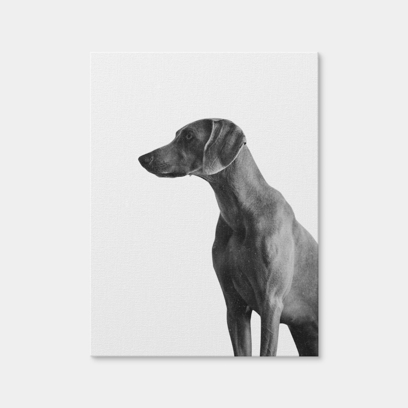 AUTO-MOCKUP WHITE | Gazing Dog | 1 Piece | Gallery Wrap Canvas | group=3x4