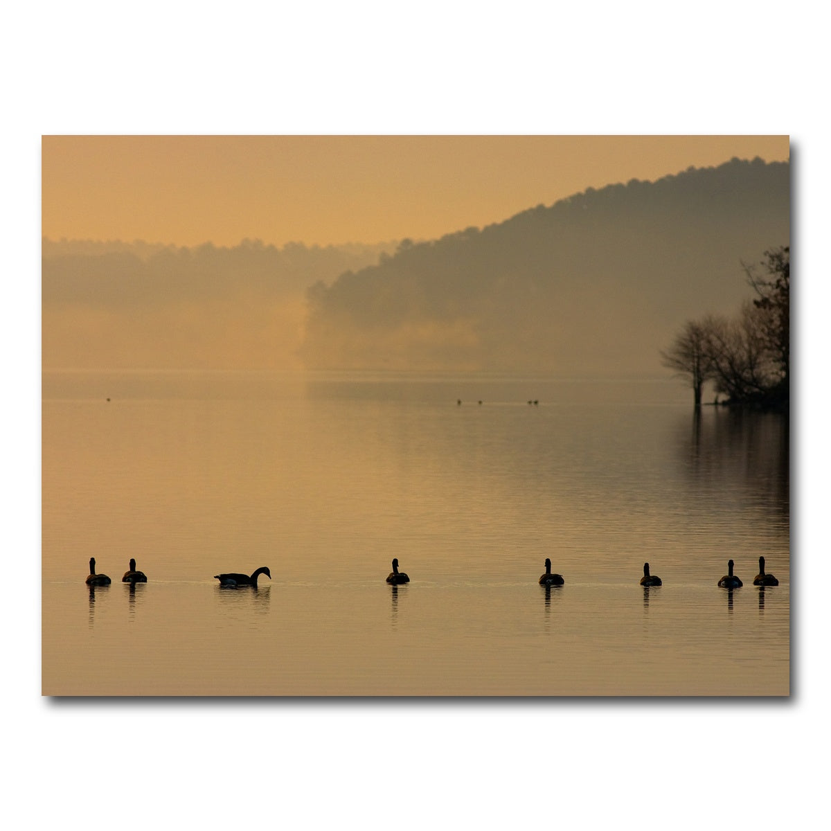 AUTO-MOCKUP WHITE | Geese on Lake Degray | 1 Piece | Gallery Wrap Canvas | group=4x3
