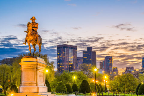 George Washington Statue Wall Art
