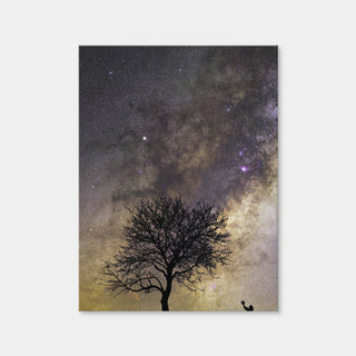 AUTO-MOCKUP WHITE | Give Life | 1 Piece | Gallery Wrap Canvas | group=3x4