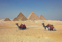 Giza Wall Art