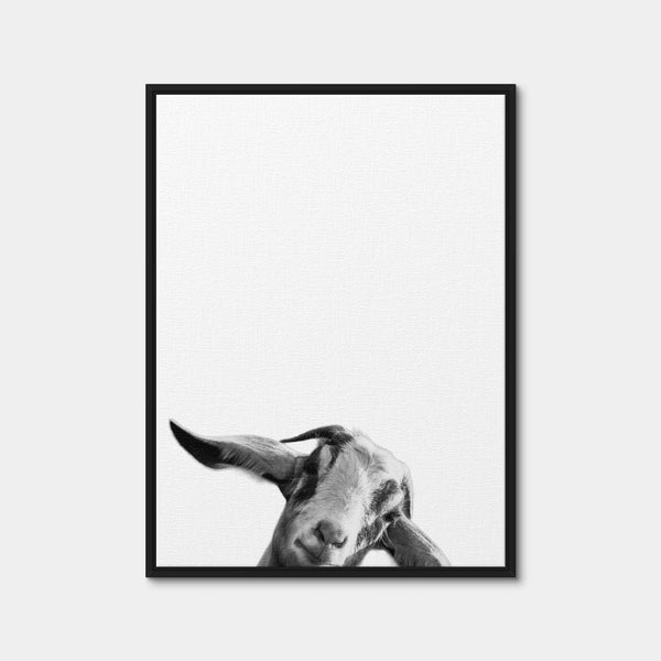 Goat Wall Art — Framed Canvas Format preview