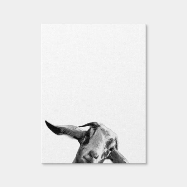 Goat Wall Art — Canvas Wrap Format preview