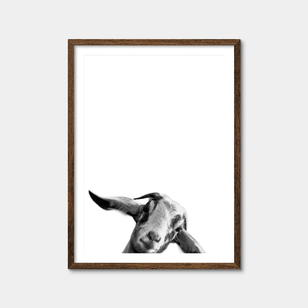 Goat Wall Art — Framed Print Format preview