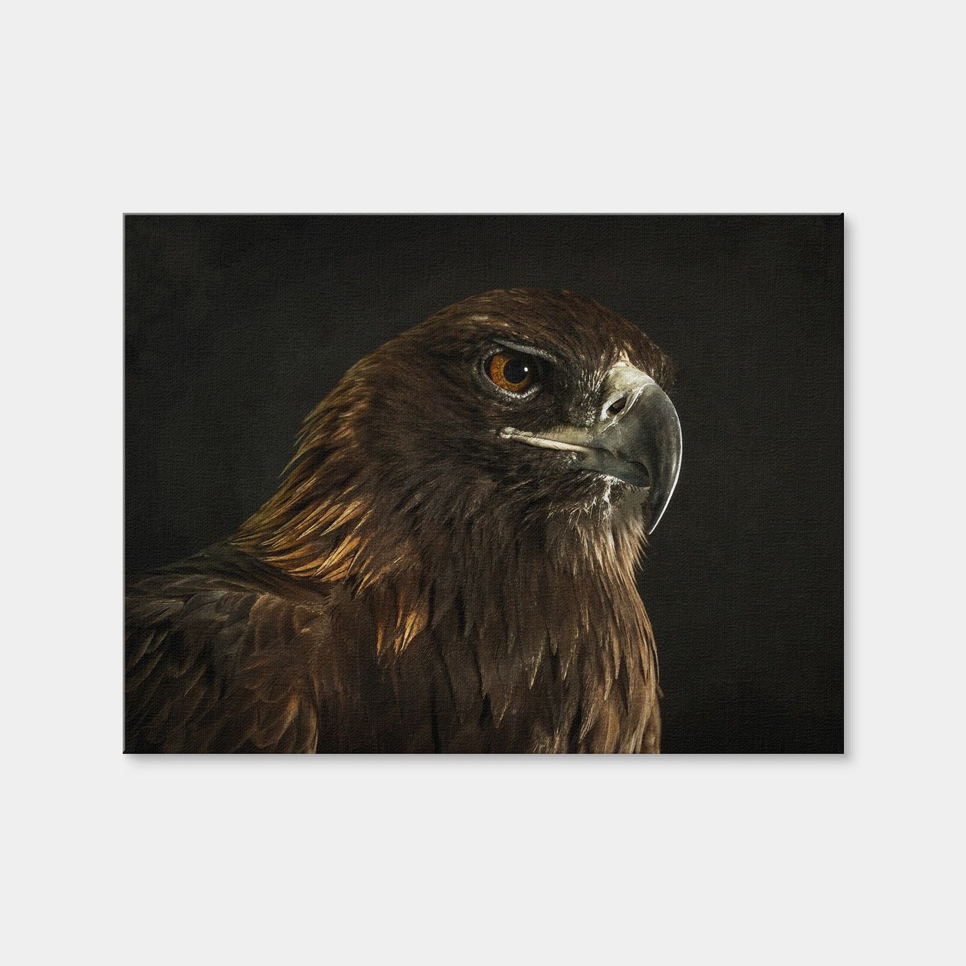 AUTO-MOCKUP WHITE | Golden Eagle | 1 Piece | Gallery Wrap Canvas | group=4x3