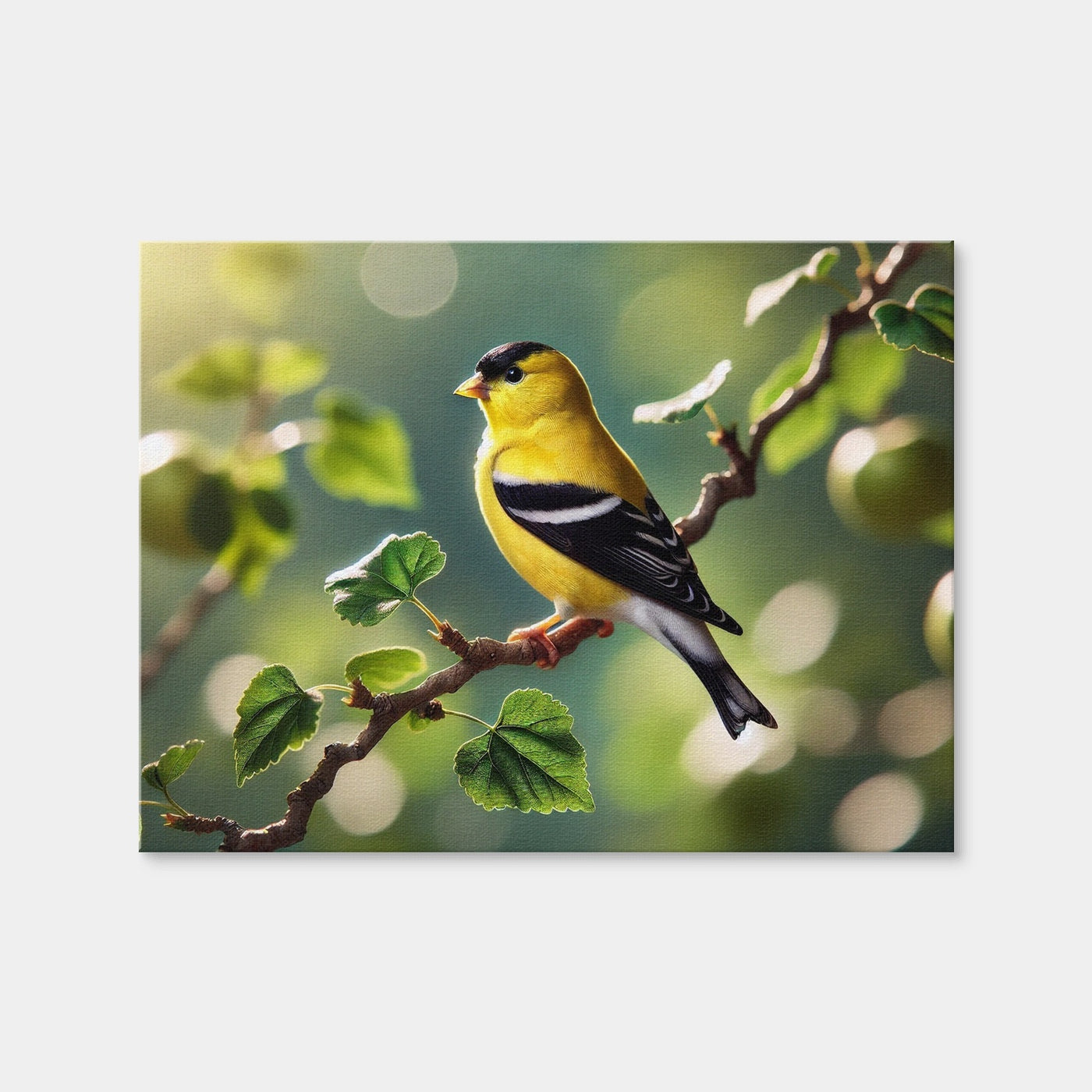 AUTO-MOCKUP WHITE | Goldfinch | 1 Piece | Gallery Wrap Canvas | group=4x3