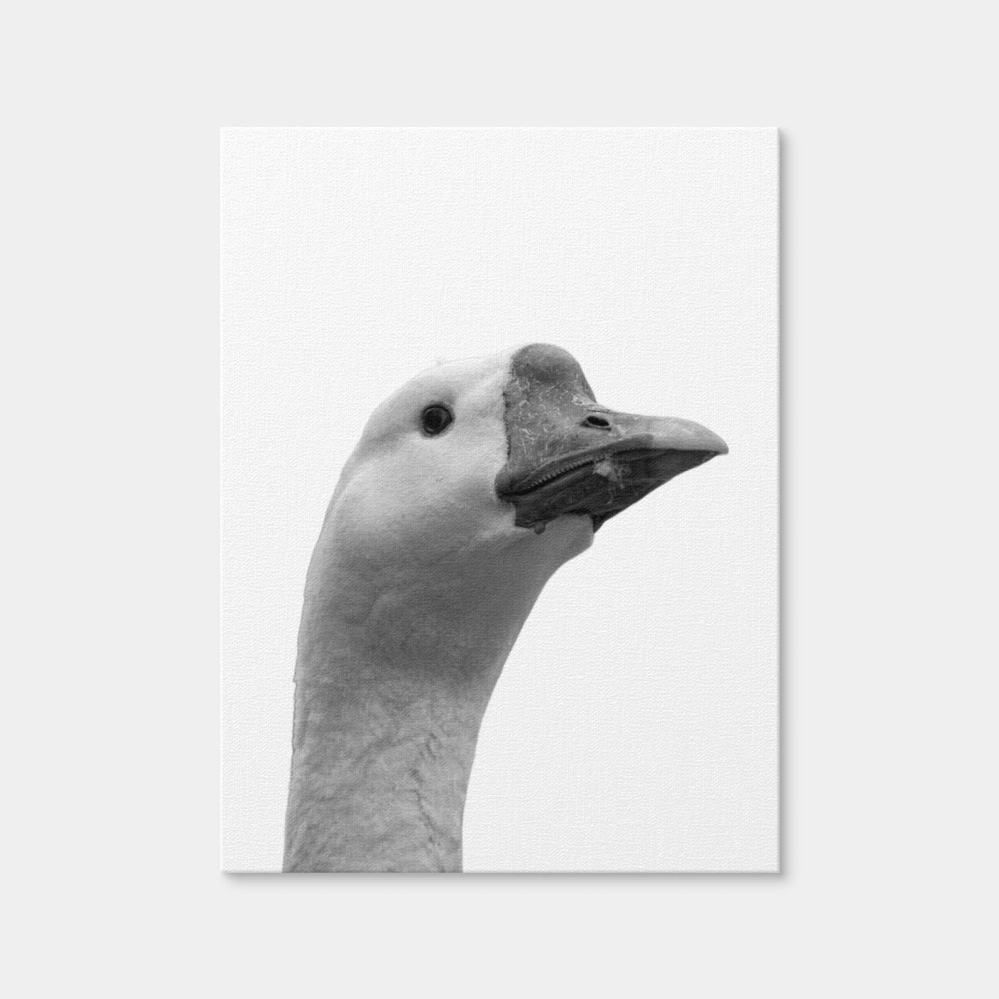 AUTO-MOCKUP WHITE | Goose Head | 1 Piece | Gallery Wrap Canvas | group=3x4