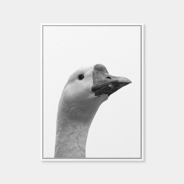 Goose Head Wall Art — Framed Canvas Format preview
