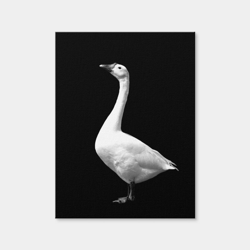AUTO-MOCKUP WHITE | Goose | 1 Piece | Gallery Wrap Canvas | group=3x4