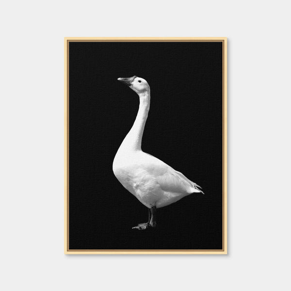 Goose Wall Art — Framed Canvas Format preview
