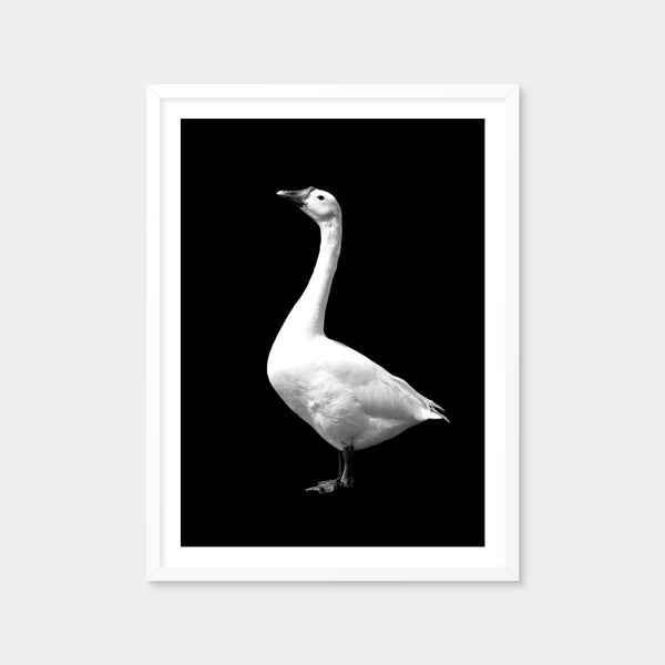 Goose Wall Art — Framed Print Format preview