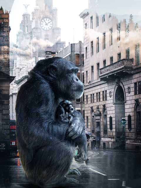 Gorilla Wall Art