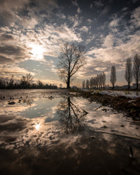 Grand Reflections Wall Art