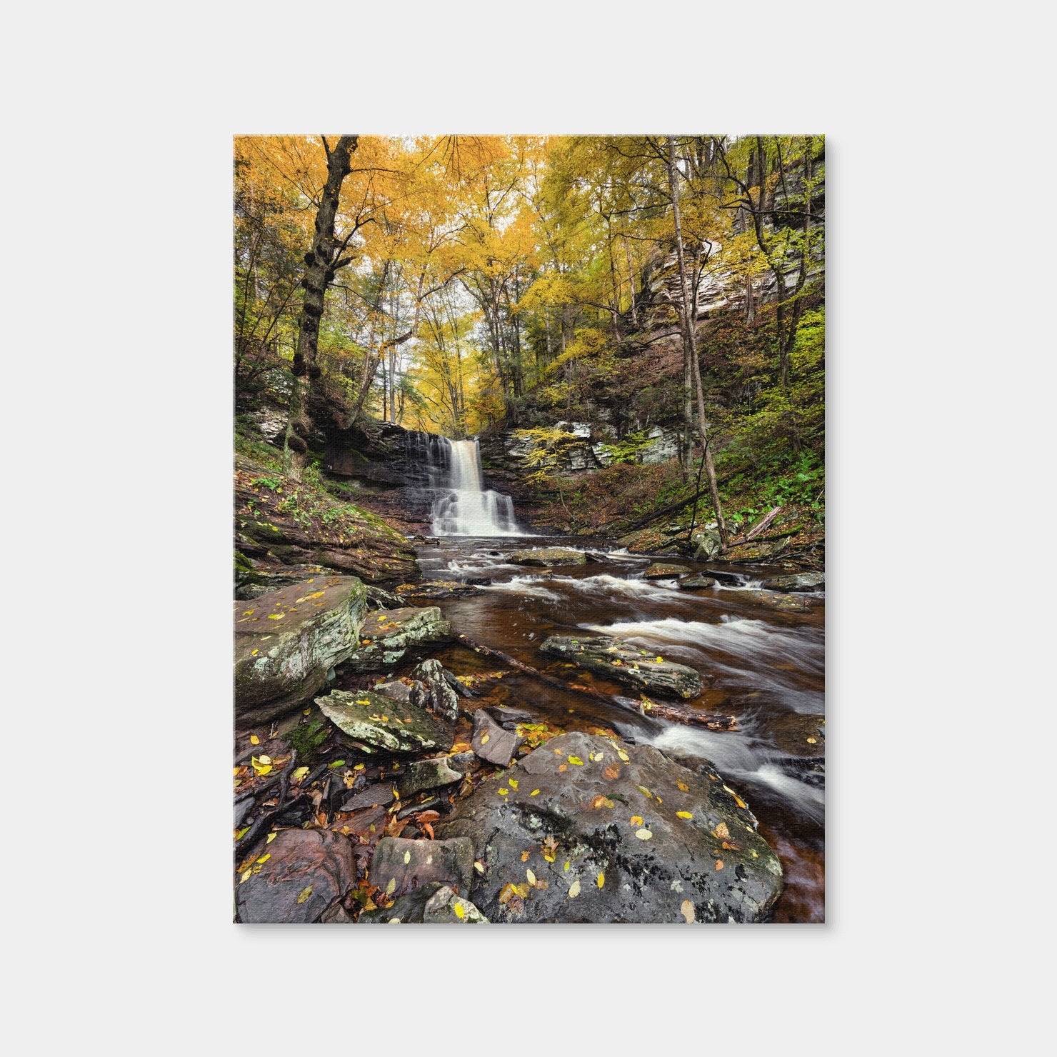 AUTO-MOCKUP WHITE | Grand Vista | 1 Piece | Gallery Wrap Canvas | group=3x4