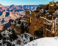 Grandview Point Canvas Wall Art