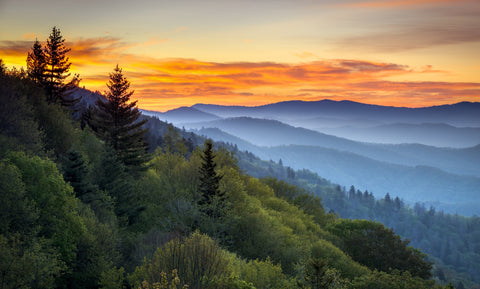 Great Smoky Mountains Wall Art