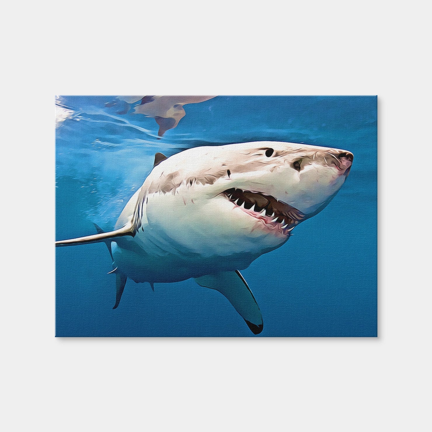 AUTO-MOCKUP WHITE | Great White Shark | 1 Piece | Gallery Wrap Canvas | group=4x3
