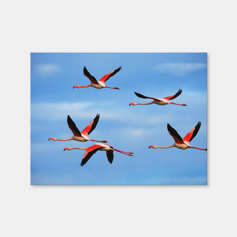 AUTO-MOCKUP WHITE | Greater Flamingo's Flying | 1 Piece | Gallery Wrap Canvas | group=4x3