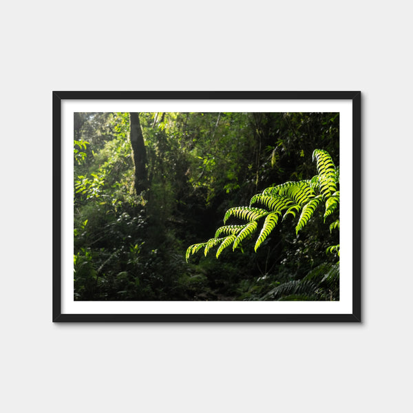 Green Samambaia Wall Art — Framed Print Format preview