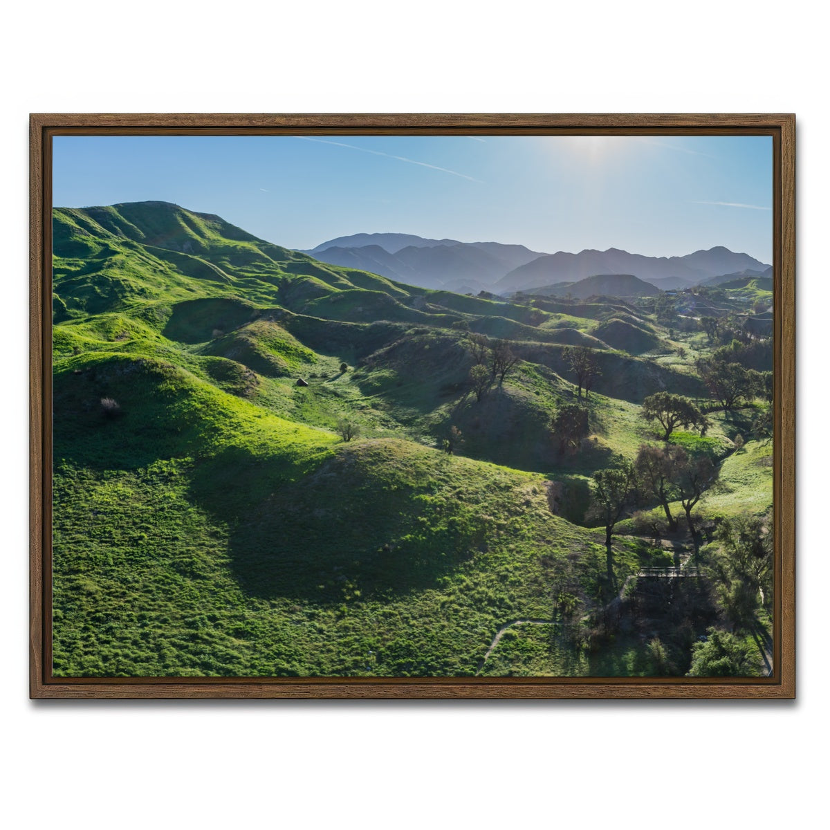 Green Southern California Hills Wall Art