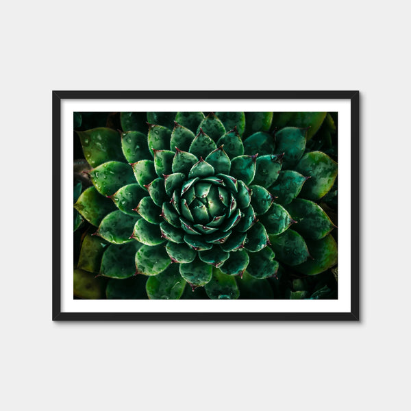 Green Wall Art — Framed Print Format preview