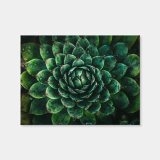 AUTO-MOCKUP WHITE | Green | 1 Piece | Gallery Wrap Canvas | group=4x3