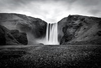 Grey Fall Wall Art