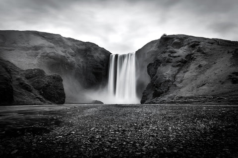 Grey Fall Wall Art